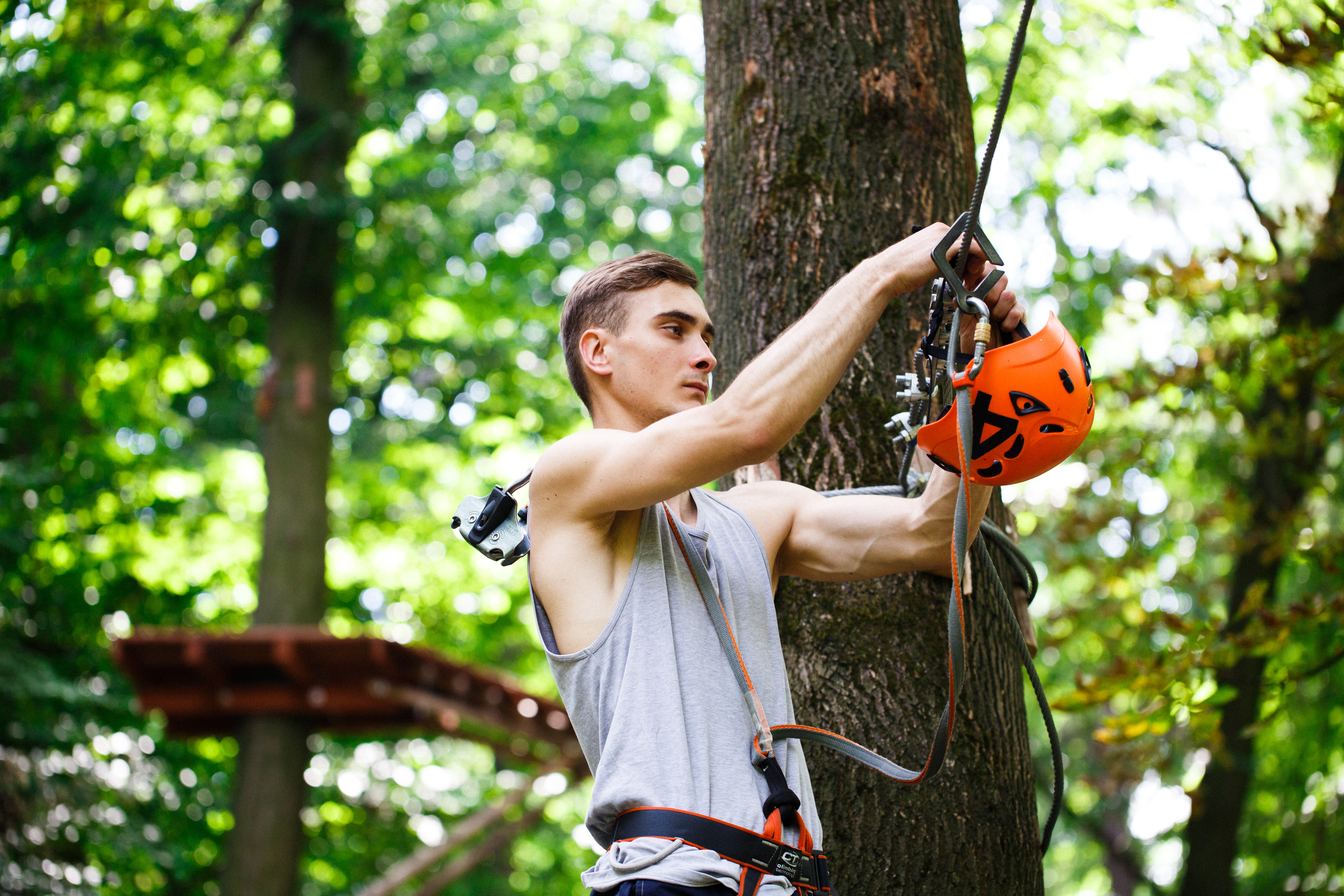 Arborist resting beside a pine tree with a chainsaw in a forest